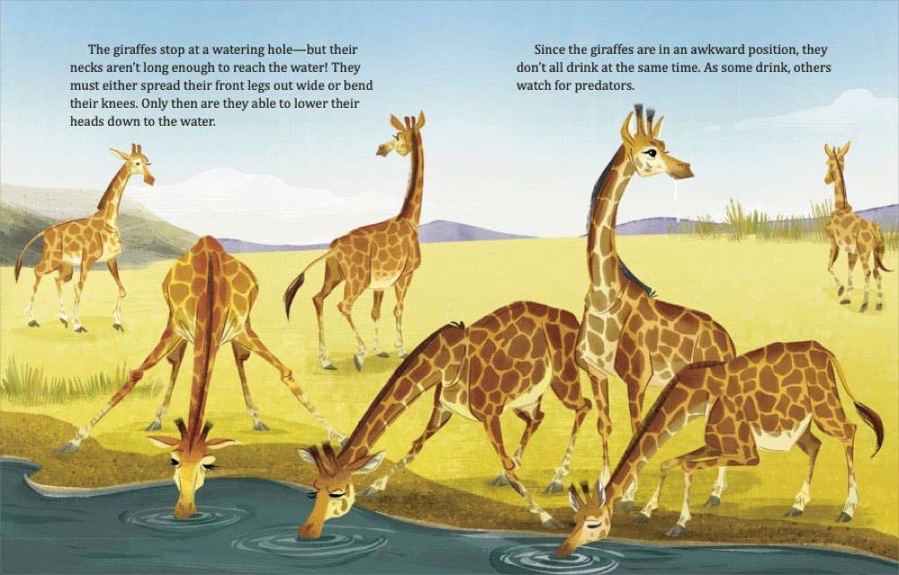 My LGB About Giraffes