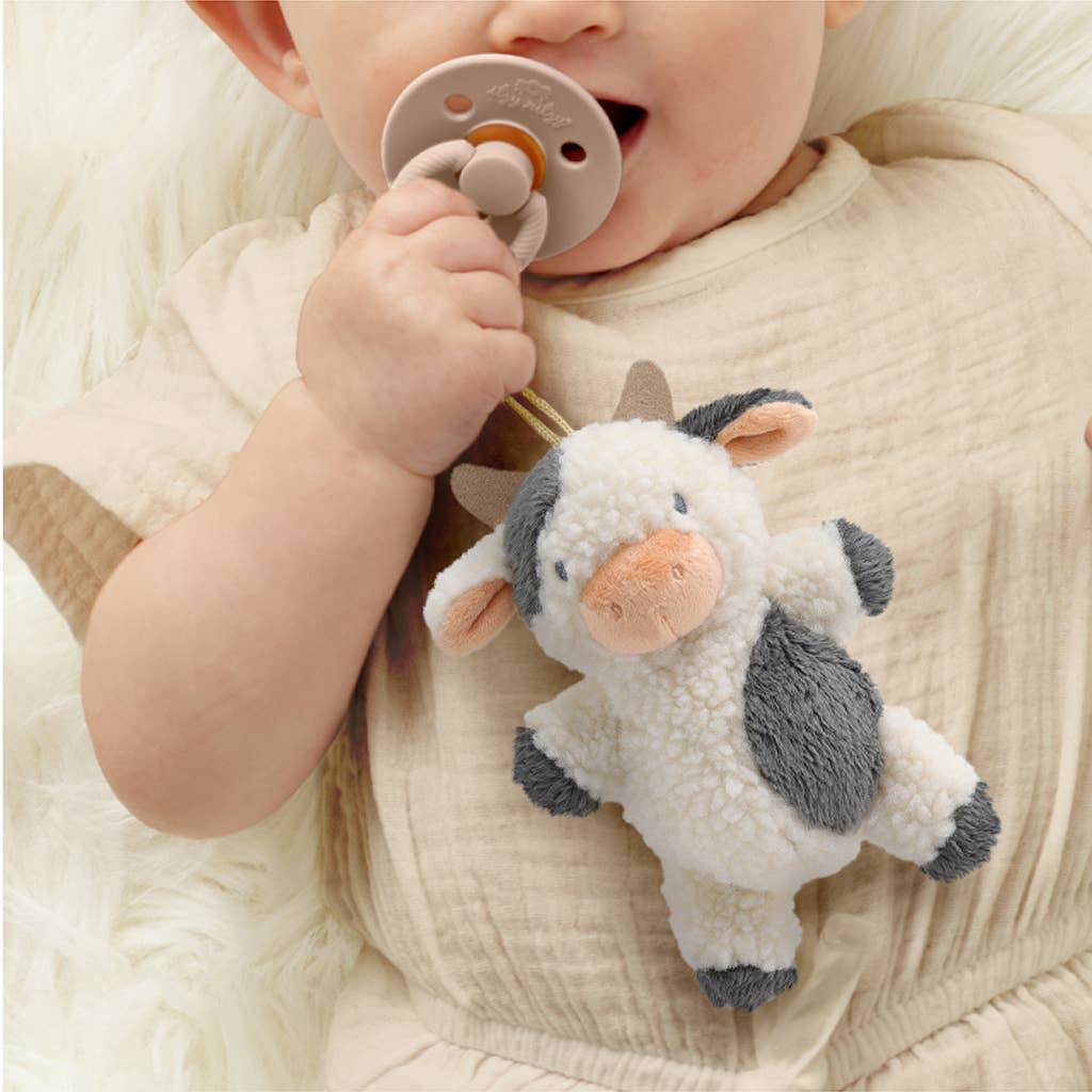 Natural Rubber Pacifier & Stuffed Animal