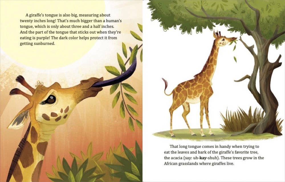 My LGB About Giraffes