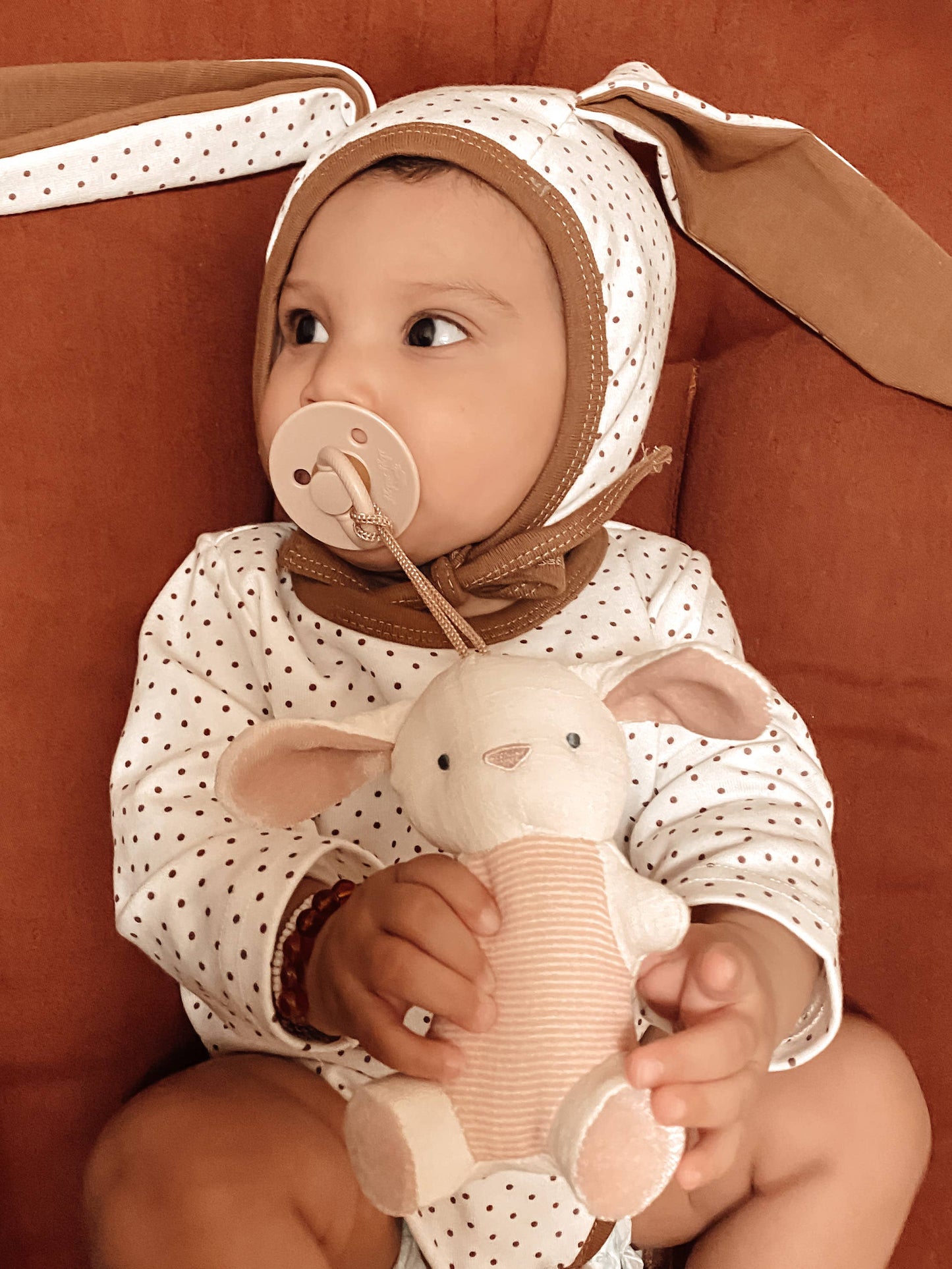 Natural Rubber Pacifier & Stuffed Animal