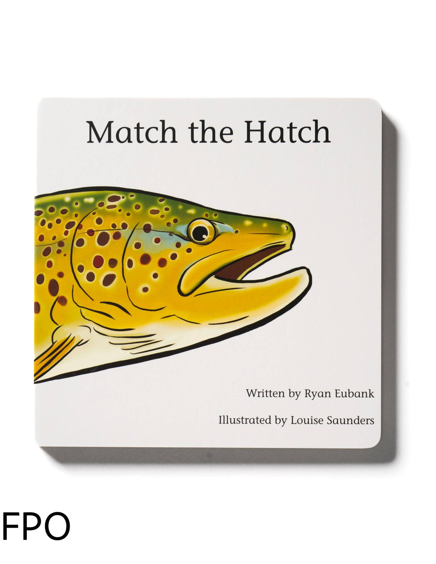 Match the Hatch Children's Book